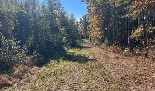 Photo #23 of 955 Manning Drive, Valentines, Virginia 36.4 acres