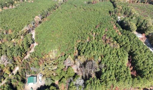 Photo #4 of 955 Manning Drive, Valentines, Virginia 36.4 acres