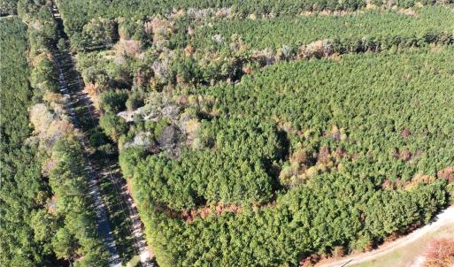 Photo #5 of 955 Manning Drive, Valentines, Virginia 36.4 acres