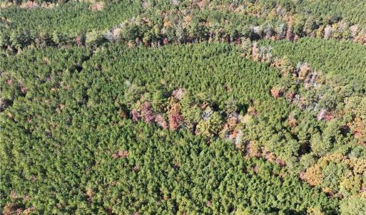 Photo #8 of 955 Manning Drive, Valentines, Virginia 36.4 acres