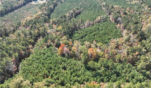 Photo #10 of 955 Manning Drive, Valentines, Virginia 36.4 acres