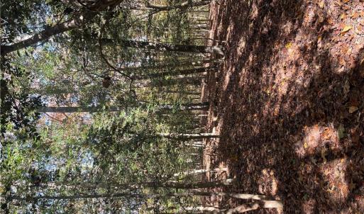 Photo #12 of 2425 Jolly Pond Road, Williamsburg, Virginia 14.5 acres