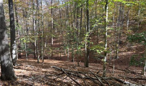 Photo #3 of 2425 Jolly Pond Road, Williamsburg, Virginia 14.5 acres