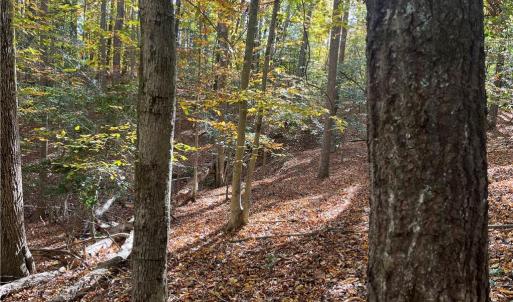 Photo #4 of 2425 Jolly Pond Road, Williamsburg, Virginia 14.5 acres