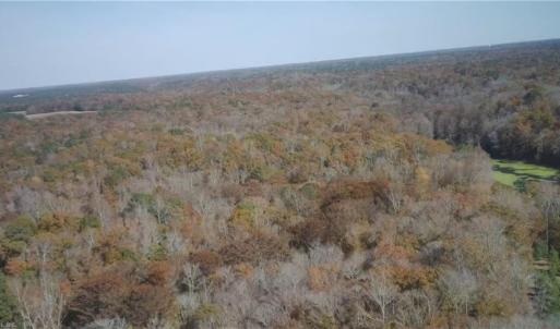 Photo #5 of 2425 Jolly Pond Road, Williamsburg, Virginia 14.5 acres