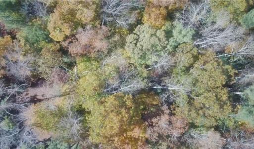 Photo #6 of 2425 Jolly Pond Road, Williamsburg, Virginia 14.5 acres