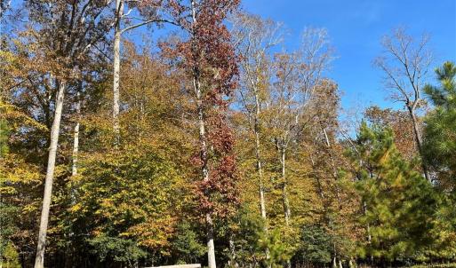 Photo #1 of 2425 Jolly Pond Road, Williamsburg, Virginia 14.5 acres