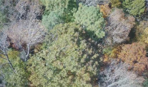 Photo #7 of 2425 Jolly Pond Road, Williamsburg, Virginia 14.5 acres