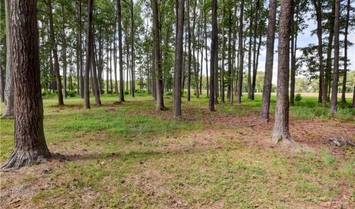 Photo #1 of 1.75ac Cobham Wharf Road, Surry, Virginia 1.8 acres