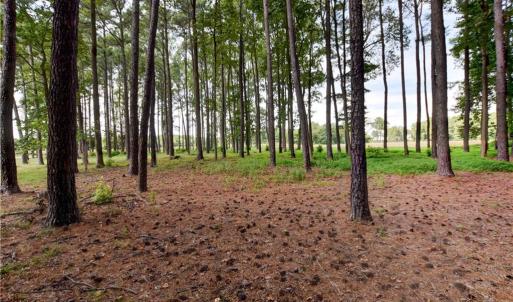 Photo #3 of 1.75ac Cobham Wharf Road, Surry, Virginia 1.8 acres