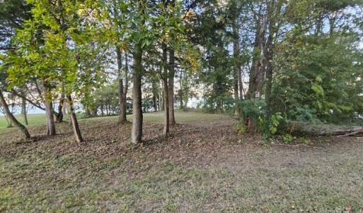 Photo #19 of 388 Cobham Bluff (LOT 8) Lane, Surry, Virginia 6.0 acres