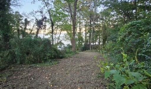 Photo #22 of 388 Cobham Bluff (LOT 8) Lane, Surry, Virginia 6.0 acres
