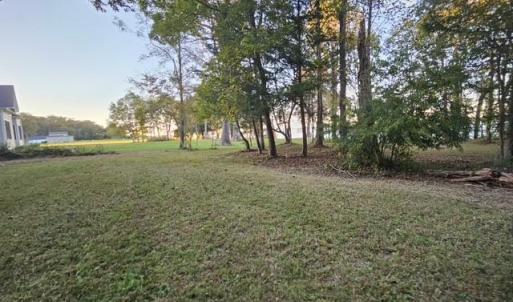Photo #21 of 388 Cobham Bluff (LOT 8) Lane, Surry, Virginia 6.0 acres