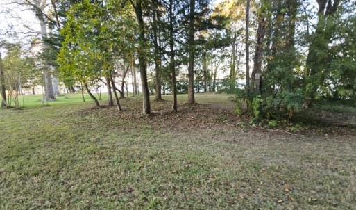 Photo #23 of 388 Cobham Bluff (LOT 8) Lane, Surry, Virginia 6.0 acres