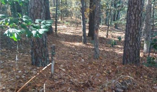 Great for hunting and fishing!