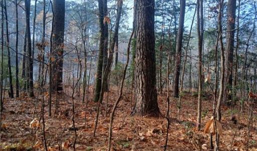 Beautifully wooded 5.43-acres