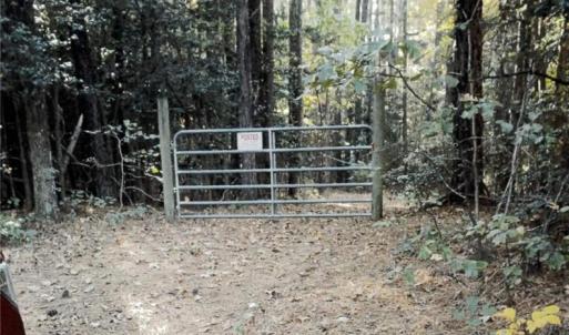 Fence is to the left of the wooded land