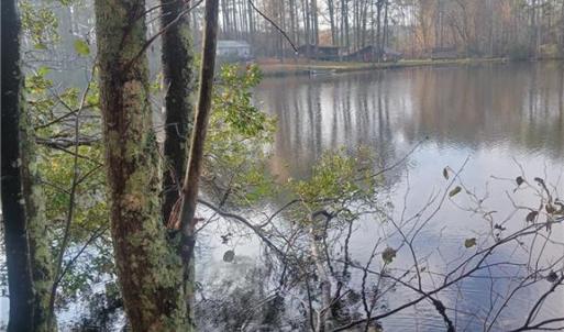 Photo #14 of 5.43A Old Forty Road, Sussex, Virginia 5.4 acres