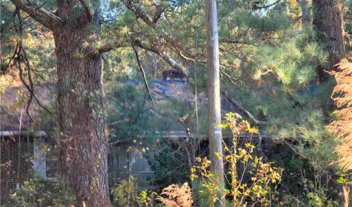 Photo #4 of 768 Carolina Road, Suffolk, Virginia 5.3 acres