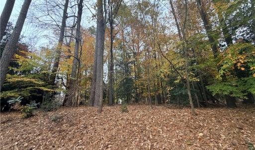 Photo #3 of 11 Frenchmens Key, Williamsburg, Virginia 0.2 acres