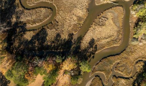 Photo #17 of 3.87ac Cunningham Lane, Gloucester, Virginia 3.9 acres