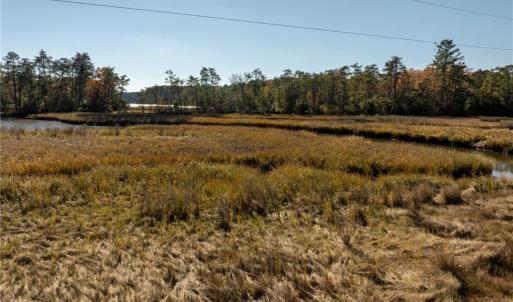 Photo #4 of 3.87ac Cunningham Lane, Gloucester, Virginia 3.9 acres