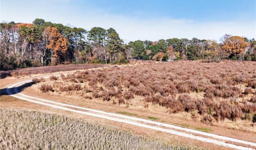 Photo #4 of 5.1+AC GWYN Lane, Hayes, Virginia 7.9 acres