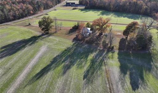 Photo #6 of 8811 Rolfe Highway, Dendron, Virginia 150.0 acres