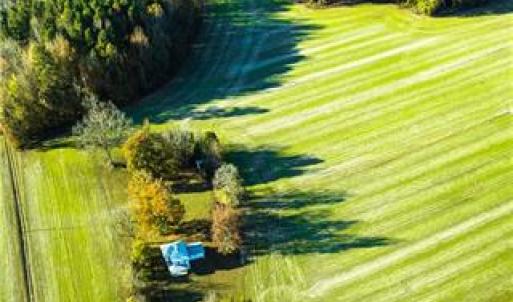 Photo #2 of 8811 Rolfe Highway, Dendron, Virginia 150.0 acres