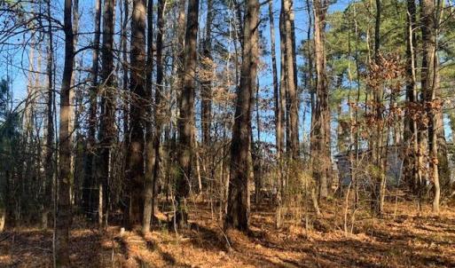 Photo #1 of Lot 23 Chambliss Road, Emporia, Virginia 0.2 acres