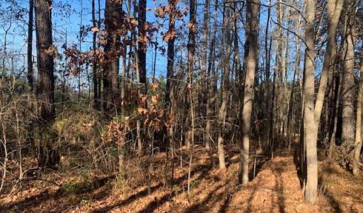 Photo #3 of Lot 23 Chambliss Road, Emporia, Virginia 0.2 acres
