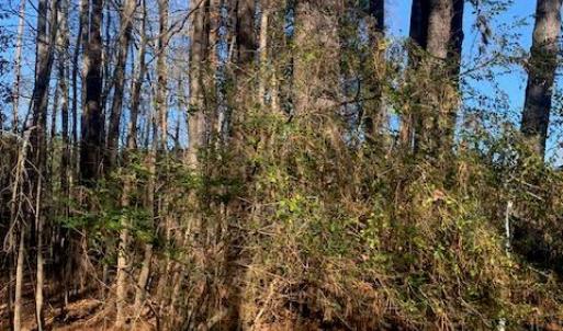 Photo #4 of Lot 23 Chambliss Road, Emporia, Virginia 0.2 acres