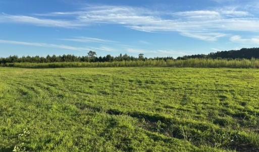 Photo #11 of 7496 Yellow Hammer Road, Zuni, Virginia 13.0 acres