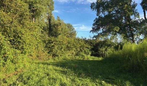 Photo #12 of 7496 Yellow Hammer Road, Zuni, Virginia 13.0 acres