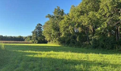 Photo #13 of 7496 Yellow Hammer Road, Zuni, Virginia 13.0 acres