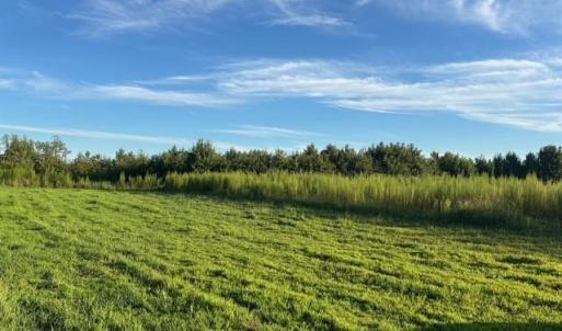 Photo #15 of 7496 Yellow Hammer Road, Zuni, Virginia 13.0 acres