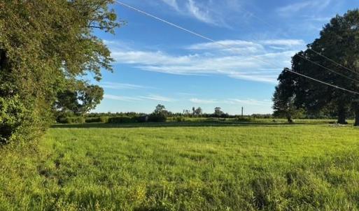 Photo #17 of 7496 Yellow Hammer Road, Zuni, Virginia 13.0 acres