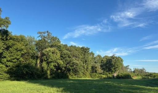 Photo #3 of 7496 Yellow Hammer Road, Zuni, Virginia 13.0 acres