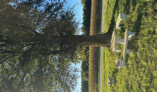 Photo #4 of 7496 Yellow Hammer Road, Zuni, Virginia 13.0 acres