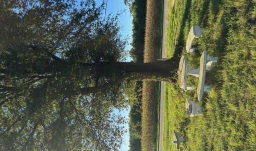 Photo #5 of 7496 Yellow Hammer Road, Zuni, Virginia 13.0 acres