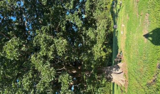 Photo #7 of 7496 Yellow Hammer Road, Zuni, Virginia 13.0 acres