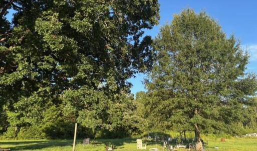 Photo #8 of 7496 Yellow Hammer Road, Zuni, Virginia 13.0 acres