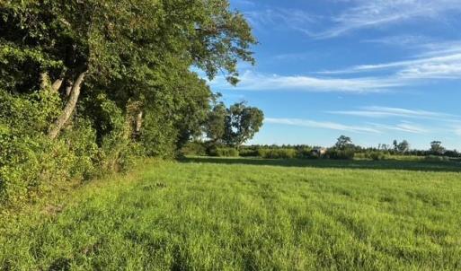 Photo #2 of 7496 Yellow Hammer Road, Zuni, Virginia 13.0 acres