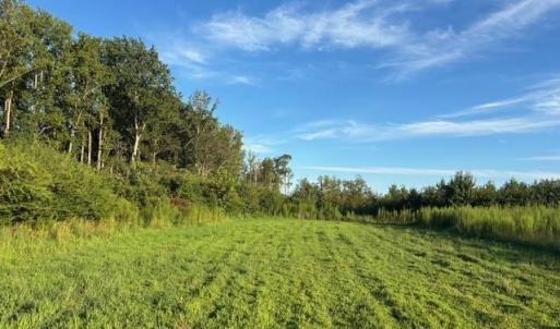 Photo #14 of 7496 Yellow Hammer Road, Zuni, Virginia 13.0 acres