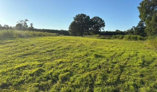 Photo #16 of 7496 Yellow Hammer Road, Zuni, Virginia 13.0 acres