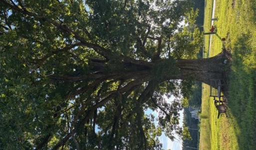 Photo #6 of 7496 Yellow Hammer Road, Zuni, Virginia 13.0 acres