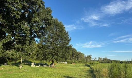 Photo #9 of 7496 Yellow Hammer Road, Zuni, Virginia 13.0 acres