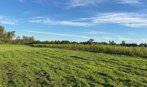 Photo #10 of 7496 Yellow Hammer Road, Zuni, Virginia 13.0 acres