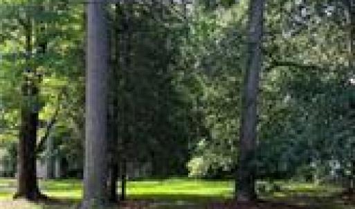 Photo #1 of 1041 Washington Drive, Chesapeake, Virginia 0.4 acres