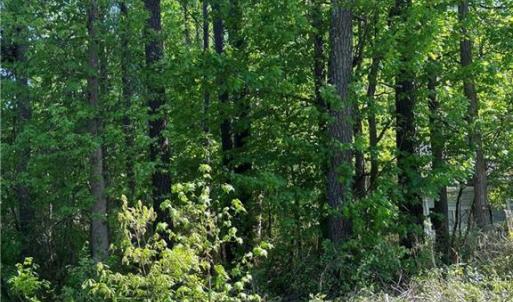 Photo #1 of 1070 Washington Drive, Chesapeake, Virginia 2.3 acres
